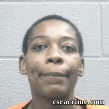 Kristina Mcneil booking photo