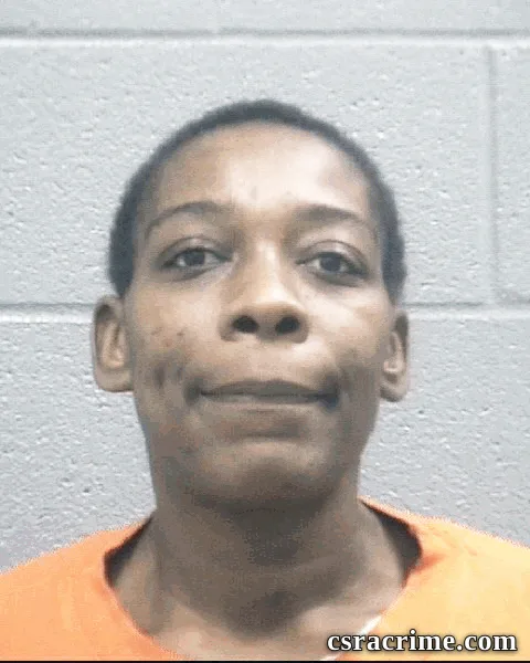 Kristina Mcneil booking photo