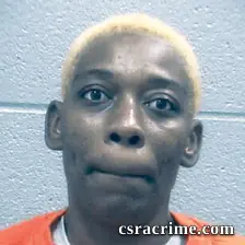 Kristina Mcneil booking photo