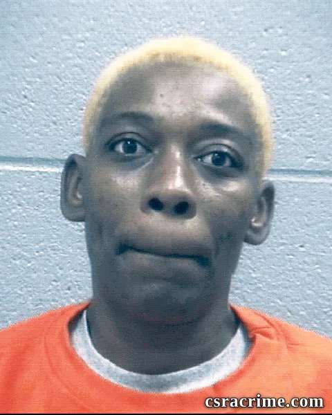 Kristina Mcneil booking photo