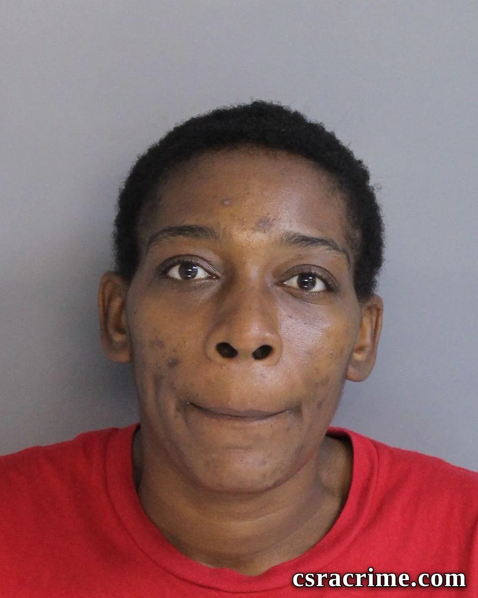 Kristina Mcneil booking photo