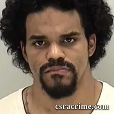 Kristopher Hemminger booking photo