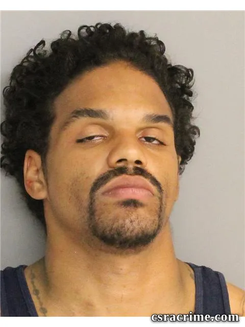 Kristopher Hemminger booking photo