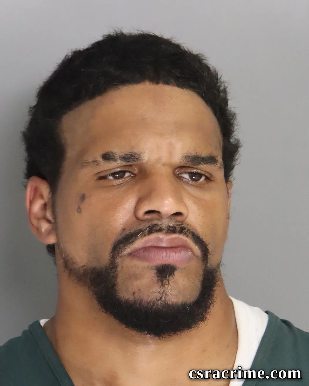 Kristopher Hemminger booking photo