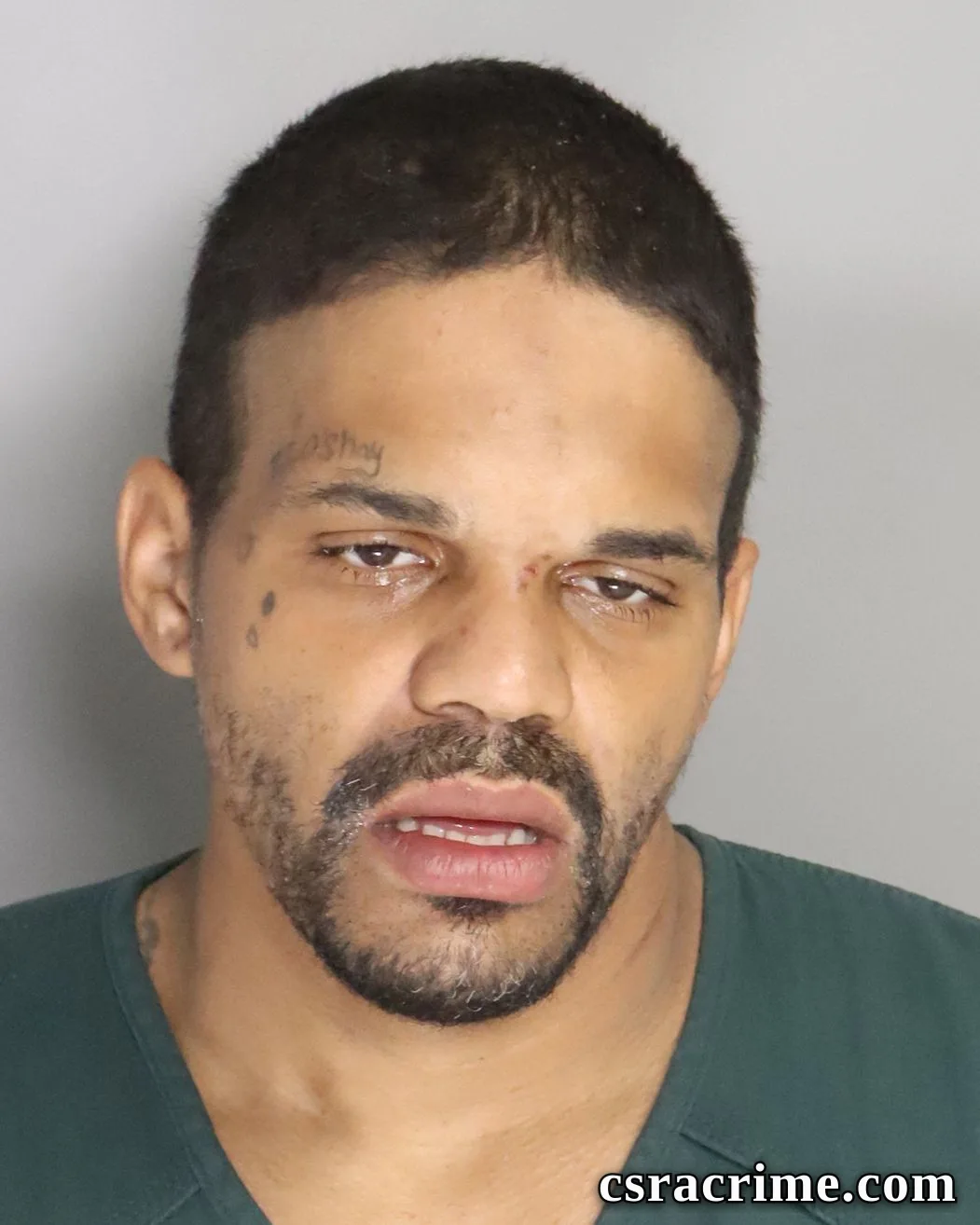 Kristopher Hemminger booking photo