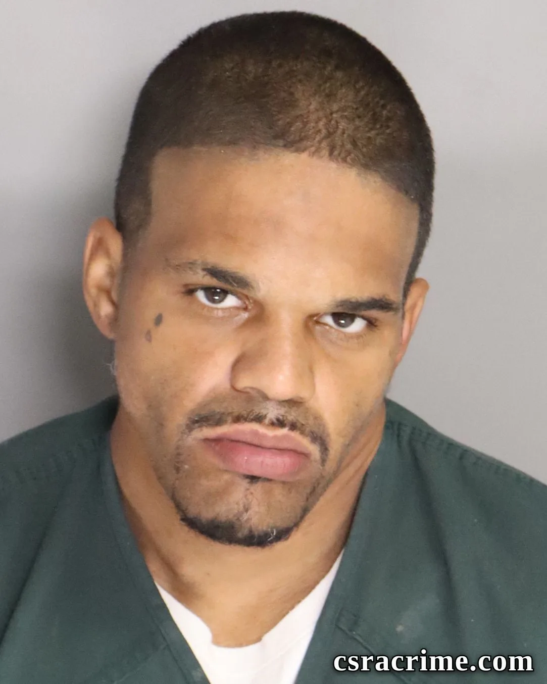 Kristopher Hemminger booking photo