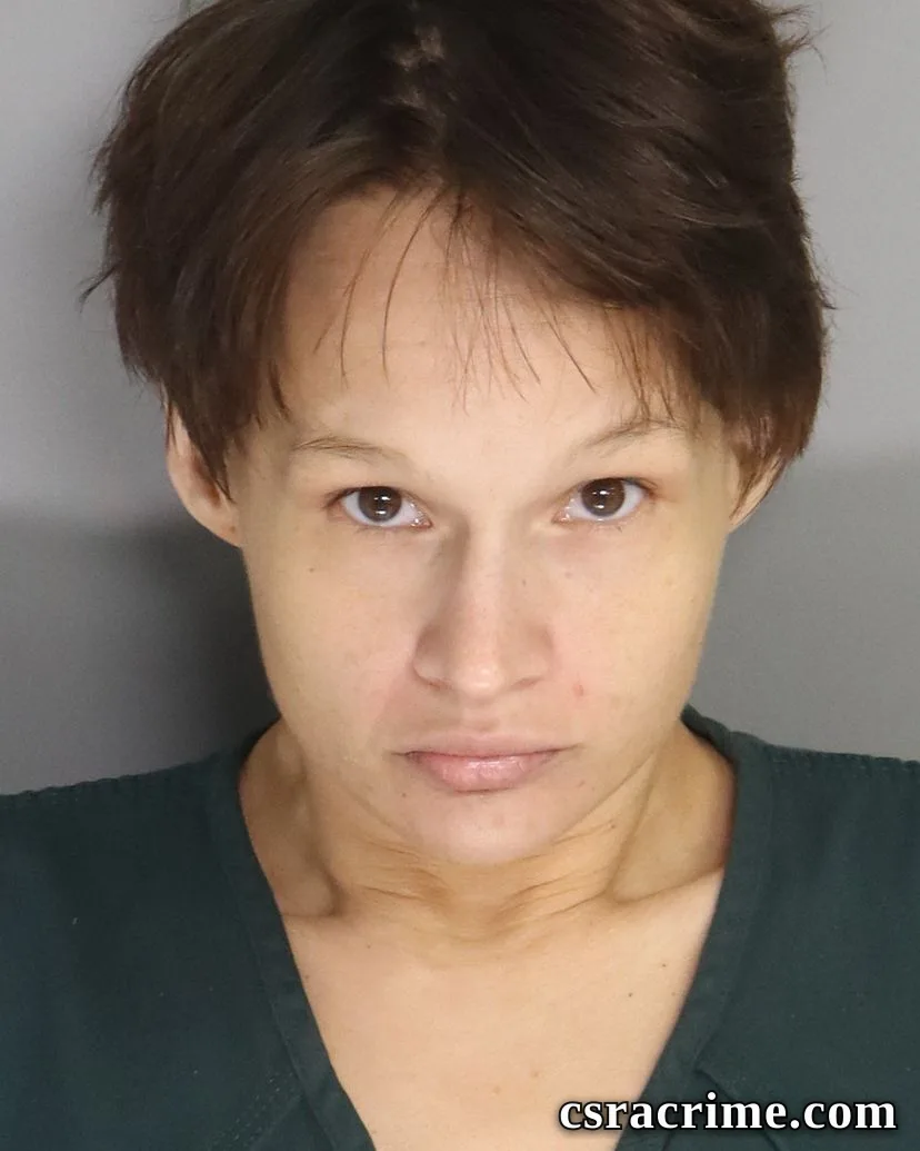 Kristy Holmes booking photo