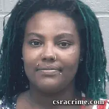 Krystle Whitaker booking photo