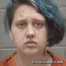 Kylie Pauline Ogle booking photo