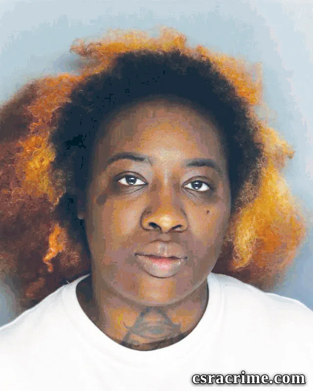 Labrittney Reed booking photo
