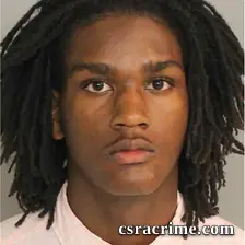 Ladarius Mitchell booking photo