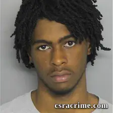 Lamari Toole booking photo