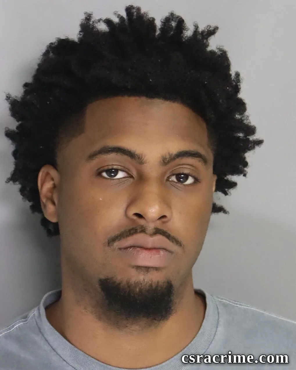Lamari Toole booking photo