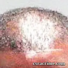 Lamont Sharrod Mcwhorter booking photo