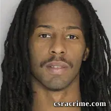 Lancy Cheatham booking photo