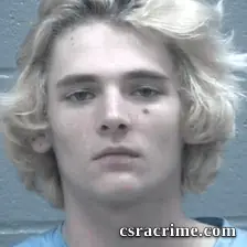Landyn Newman booking photo