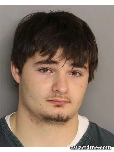 Lane Cook booking photo