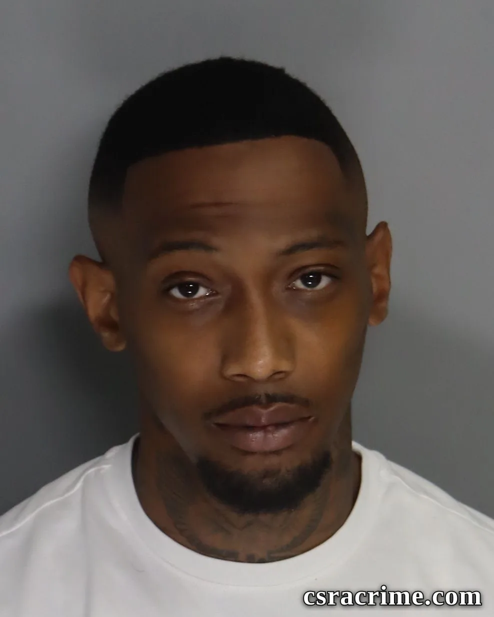 Lannis Lee booking photo