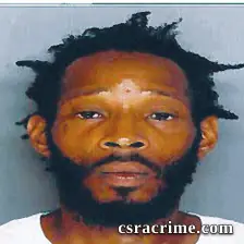 Laprintise Williams booking photo