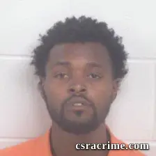 Laquan Brazil Williams booking photo