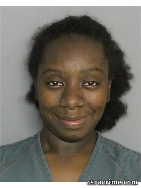 Laquasha Porter booking photo