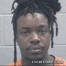 Larell Brown SR booking photo