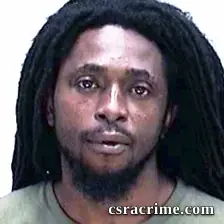Laricka Williams booking photo