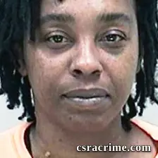 Larisa Lee booking photo