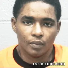 Larissa Brown booking photo