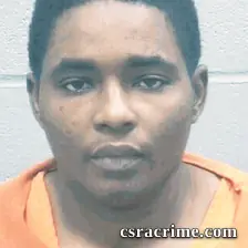 Larissa Brown booking photo