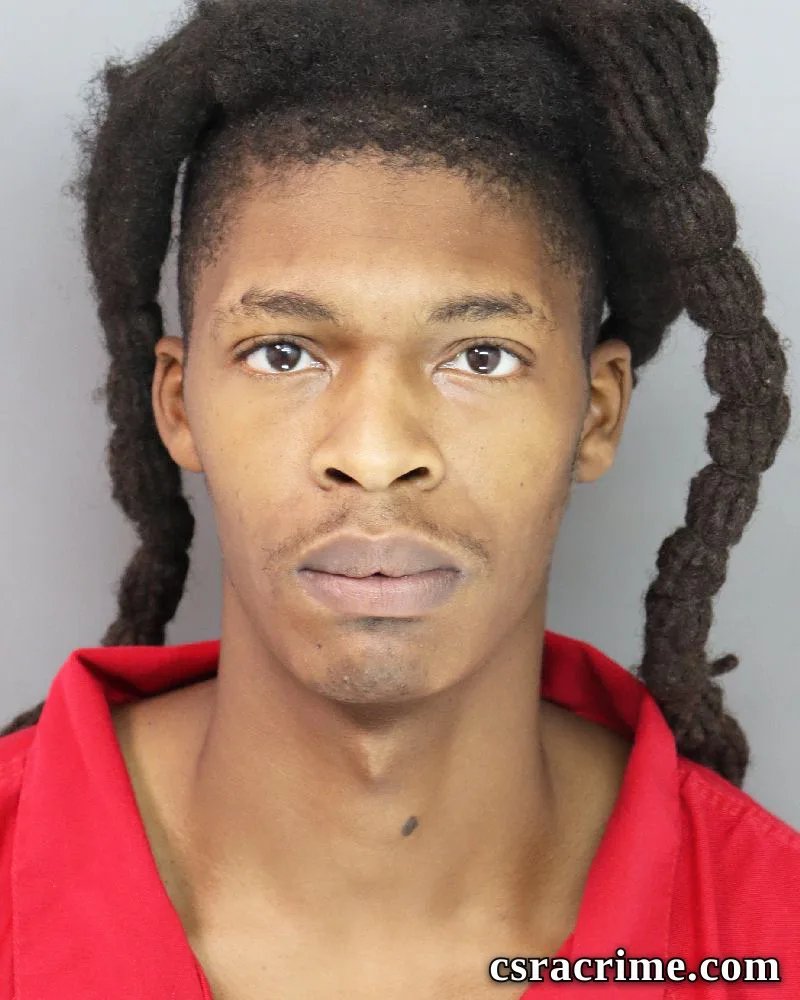 Lasavion Johnson booking photo