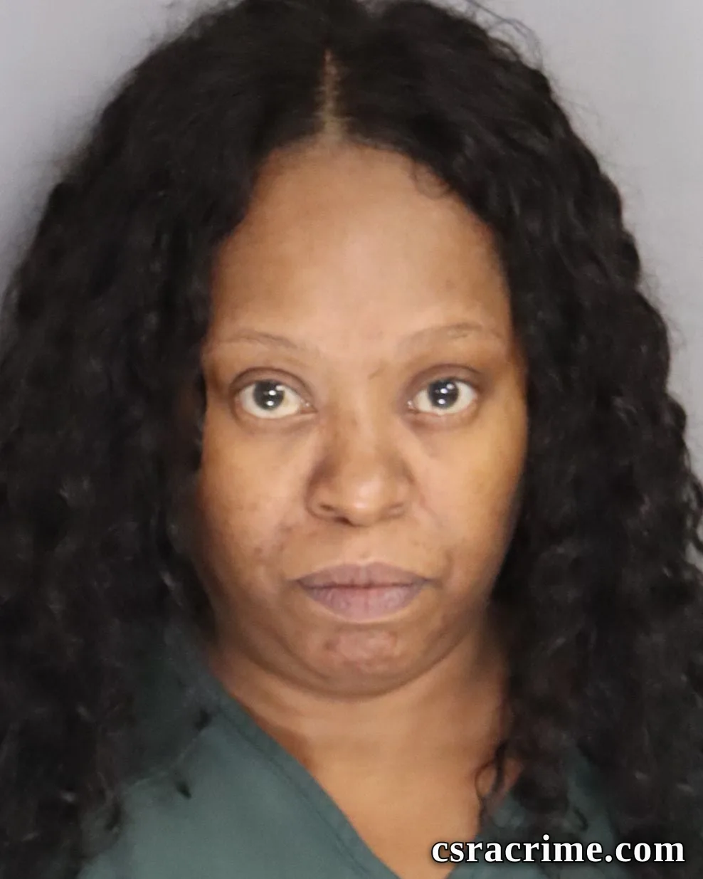 Lashawna Johnson booking photo