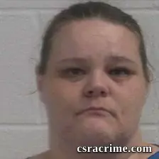 Laura Ann Wilson booking photo