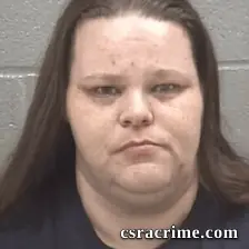 Laura Ann Wilson booking photo