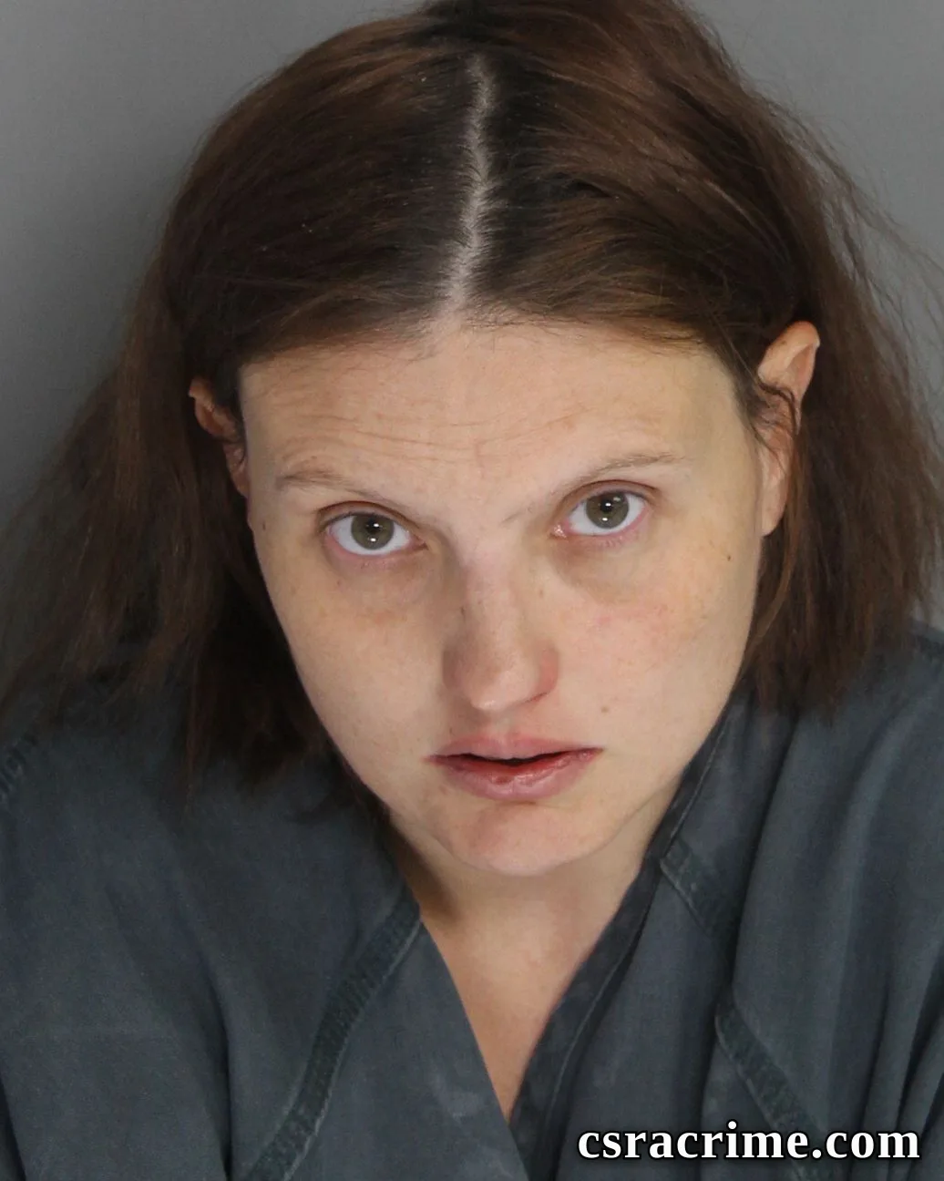 Laura Hutto booking photo