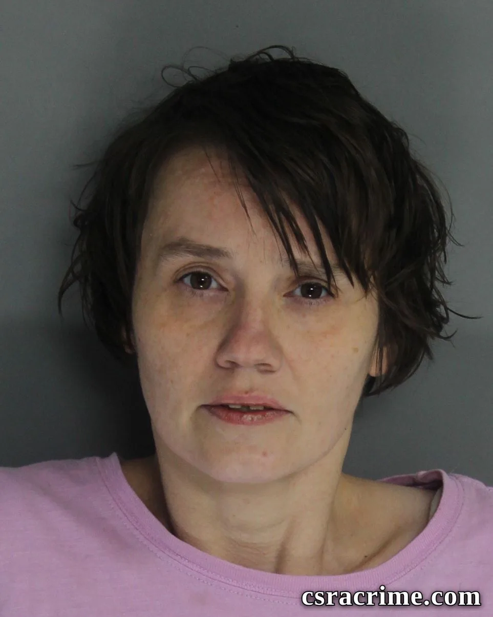 Laura Johnson booking photo
