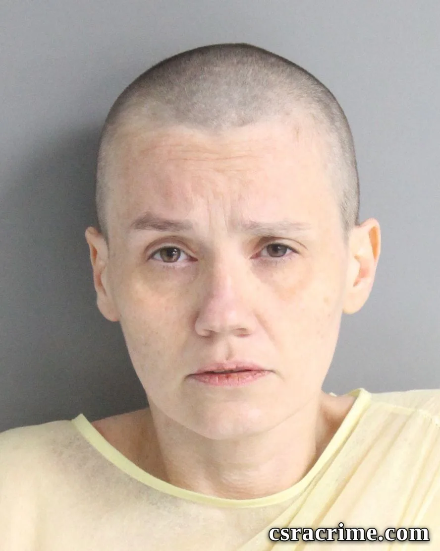 Laura Johnson booking photo