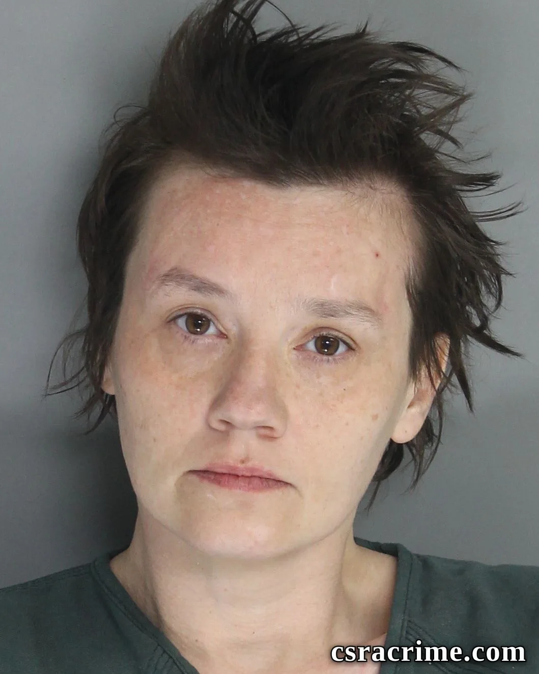 Laura Johnson booking photo