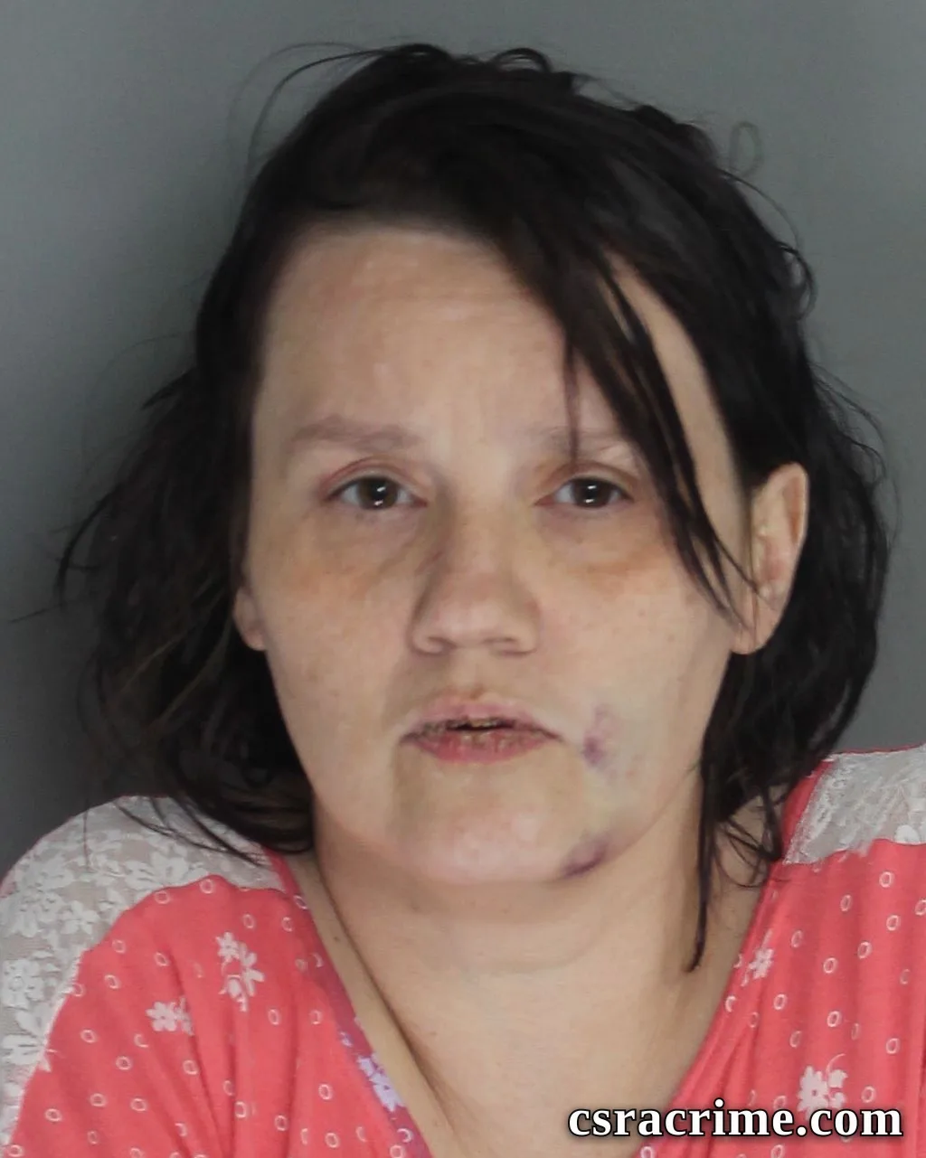 Laura Johnson booking photo