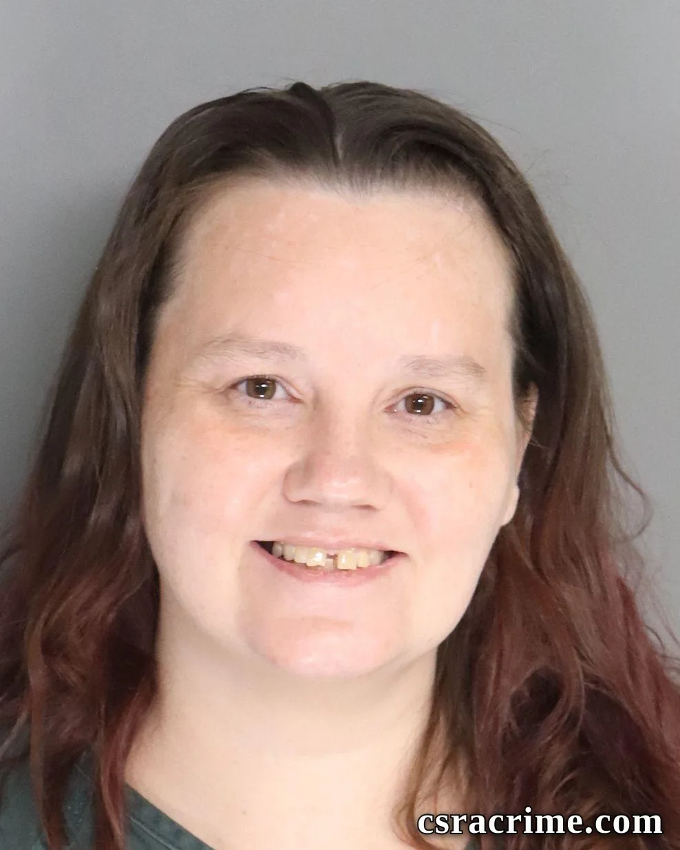 Laura Johnson booking photo