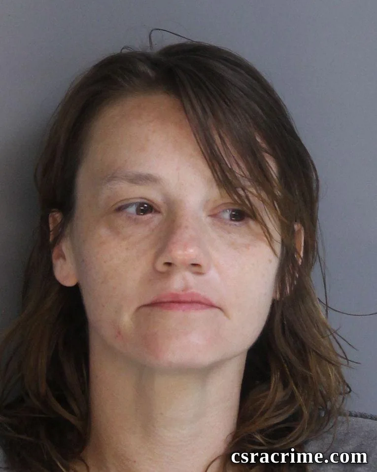 Laura Johnson booking photo