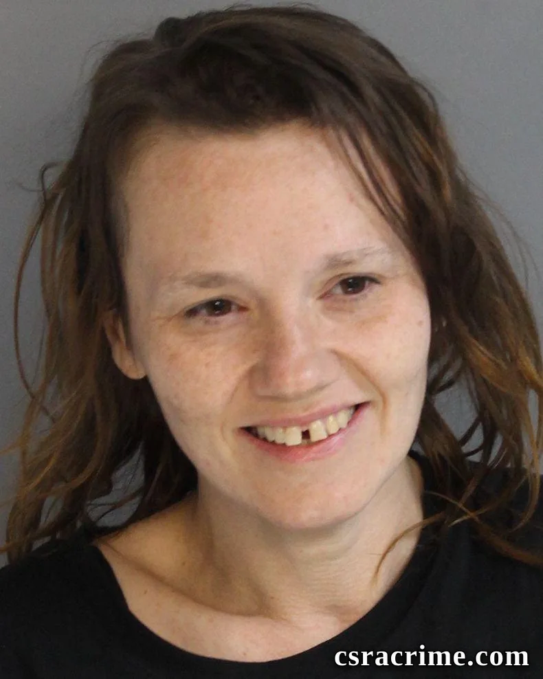 Laura Johnson booking photo