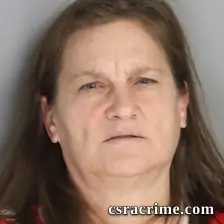 Laura Strauss booking photo