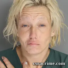 Laura West booking photo