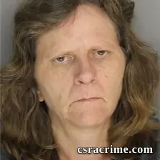 Laura Wilson booking photo
