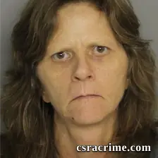 Laura Wilson booking photo