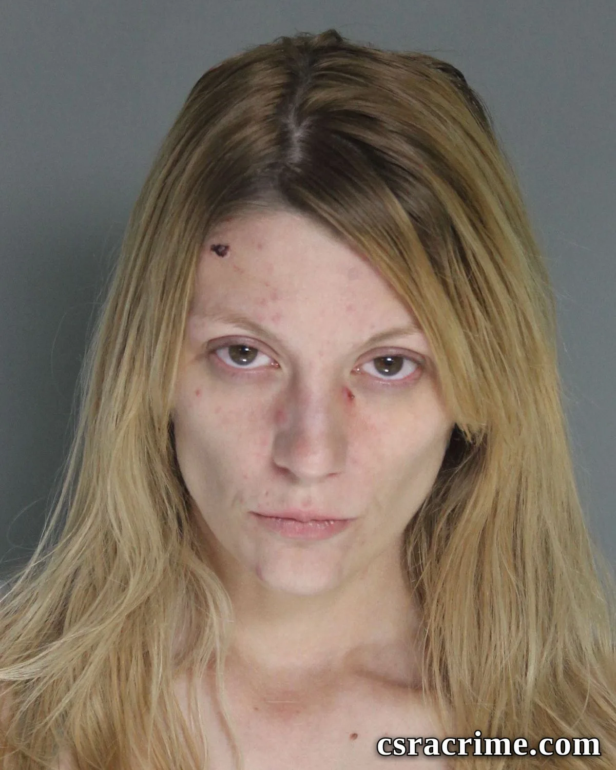Lauren Bender booking photo