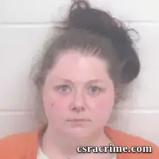 Lauren Elizabeth Hendricks booking photo