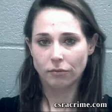 Lauren Hatcher booking photo