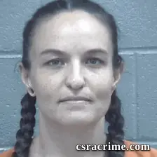 Lauren Lander booking photo